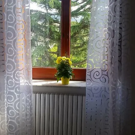 Panzió Casa Carolina