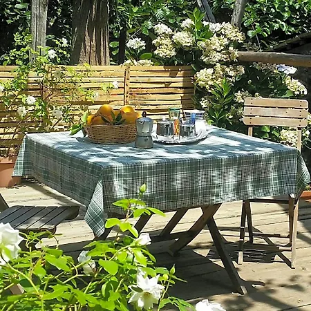 Oda ve Kahvaltı Casa Carolina 3*