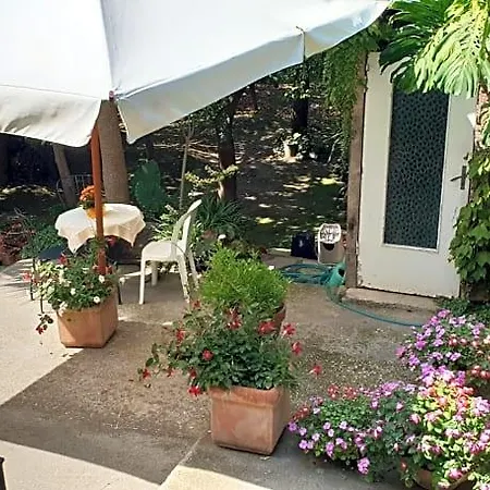 Casa Carolina Bed & Breakfast