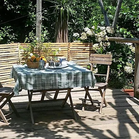 Casa Carolina Bed & Breakfast
