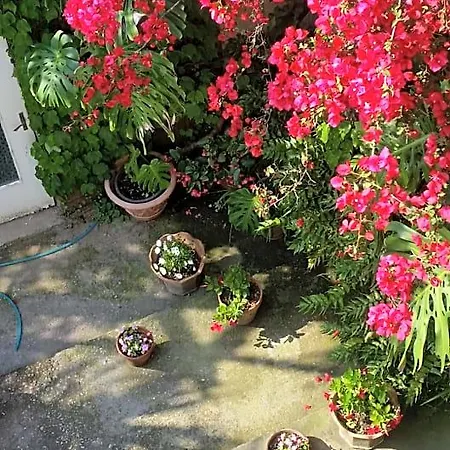 Casa Carolina 3*