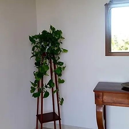 Oda ve Kahvaltı Casa Carolina Sorrento