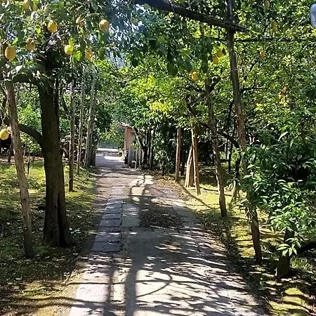 住宿加早餐酒店 卡罗莱纳住宿加早餐旅馆 3*