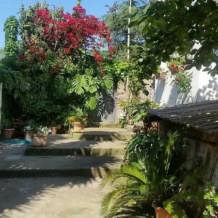 卡罗莱纳住宿加早餐旅馆 3*