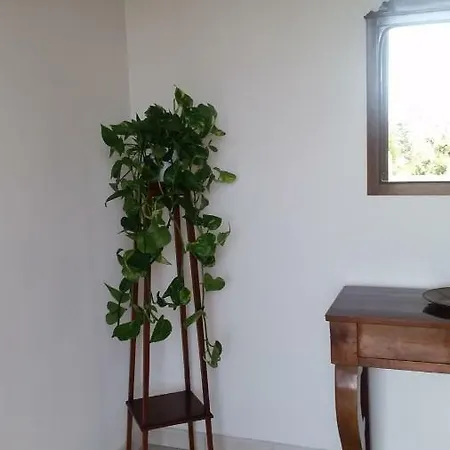 Oda ve Kahvaltı Casa Carolina Sorrento