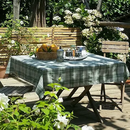 Casa Carolina Bed & Breakfast Sorrento