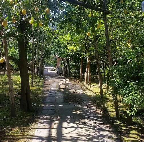 B&B Casa Carolina 소렌토