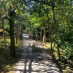 住宿加早餐酒店 卡罗莱纳住宿加早餐旅馆 索伦托
