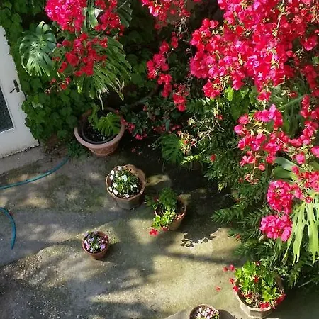 Bed and Breakfast Casa Carolina 3*