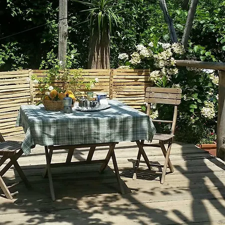 Casa Carolina Bed and Breakfast 3*