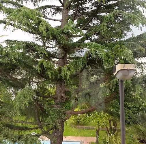 Bed & Breakfast Casa Carolina Sorrento