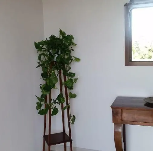 Bed & Breakfast Casa Carolina Sorrento